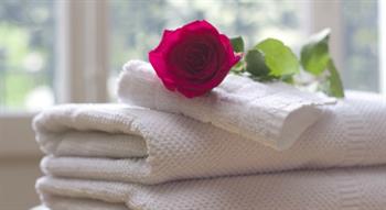 Rose on folded towels