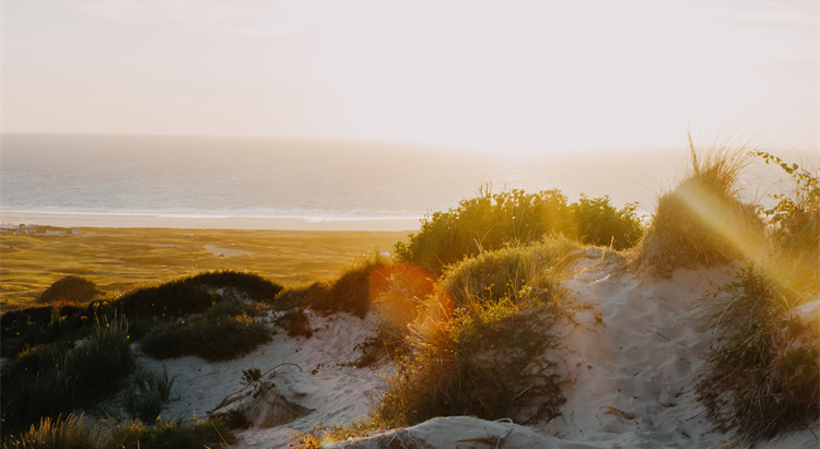 Sunset over sand dunes