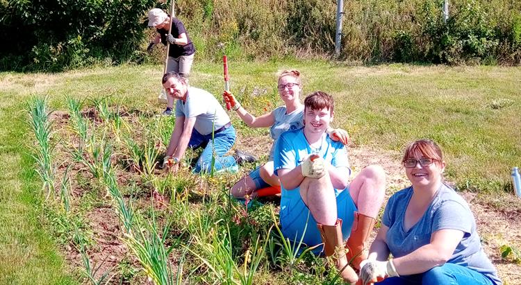 Members of the Growing Group at the allotment in Gorey