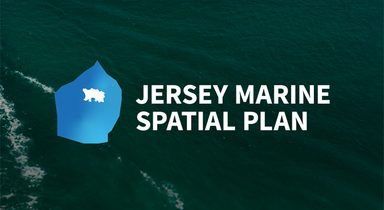 Marine Spatial Planning logo