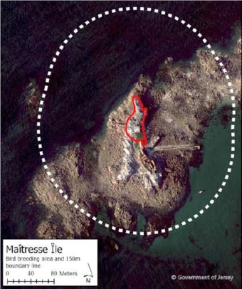 An overhead image of the bird breeding area at Maitresse Ile and the surrounding area
