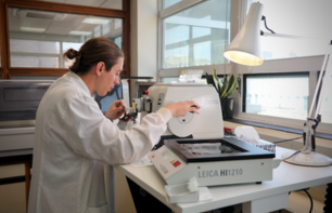 person doing tests lab