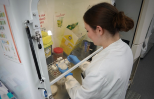 person doing tests lab