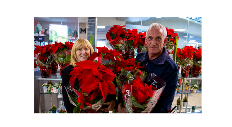 A man and woman hold up two poinsettia plants
