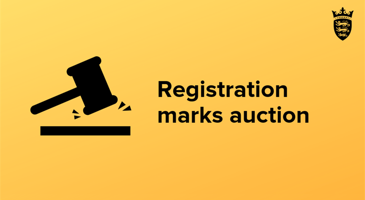 Registration marks auction graphic with auction hammer
