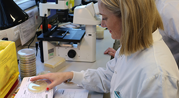 Photo of lady looking at lab dish test results