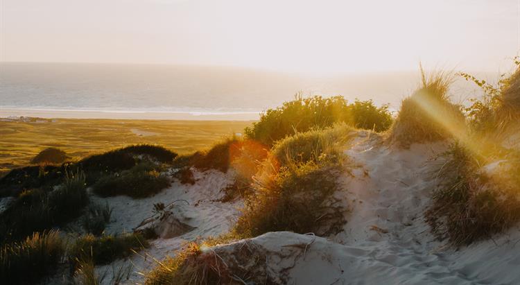 sand dunes